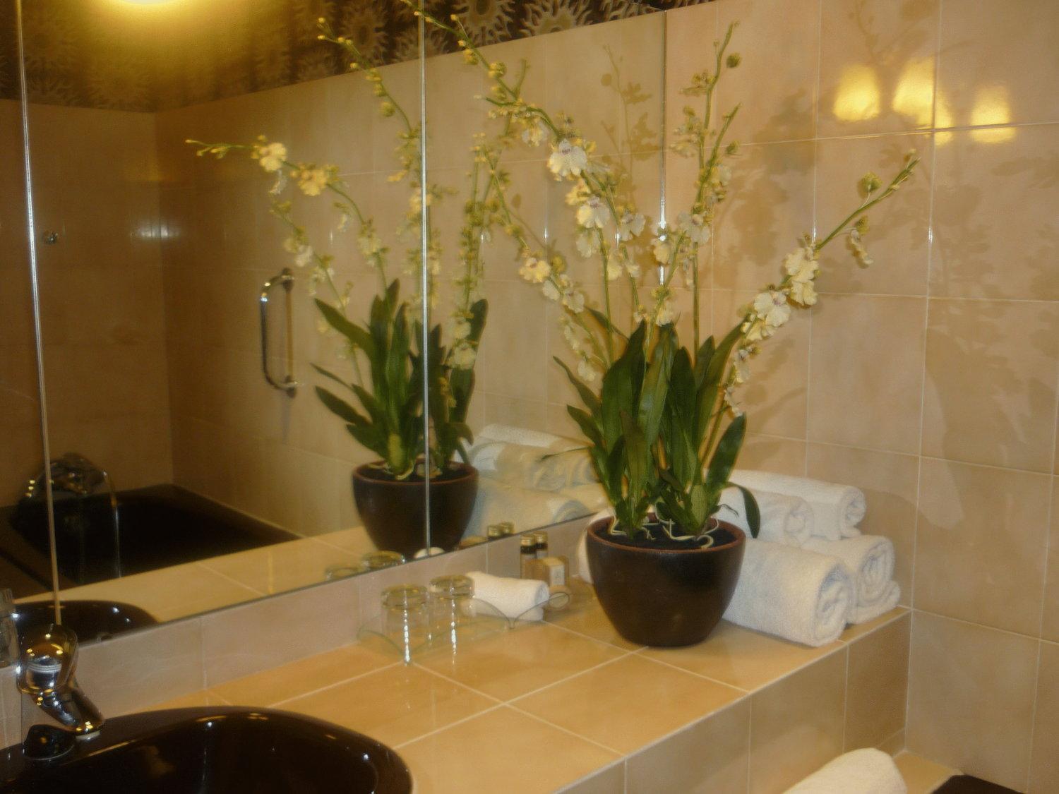 Hotel De France Angerville  Dış mekan fotoğraf